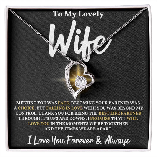 To My Wife - Meeting You Was Fate Necklace